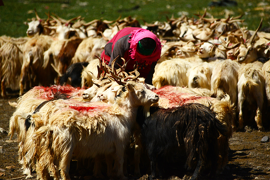 每个人眼中的阿里（图ZNTU3NTY1MDQ=） - 风光摄影 - 站酷设计师此心向风原创素材 - 站酷ZCOOL