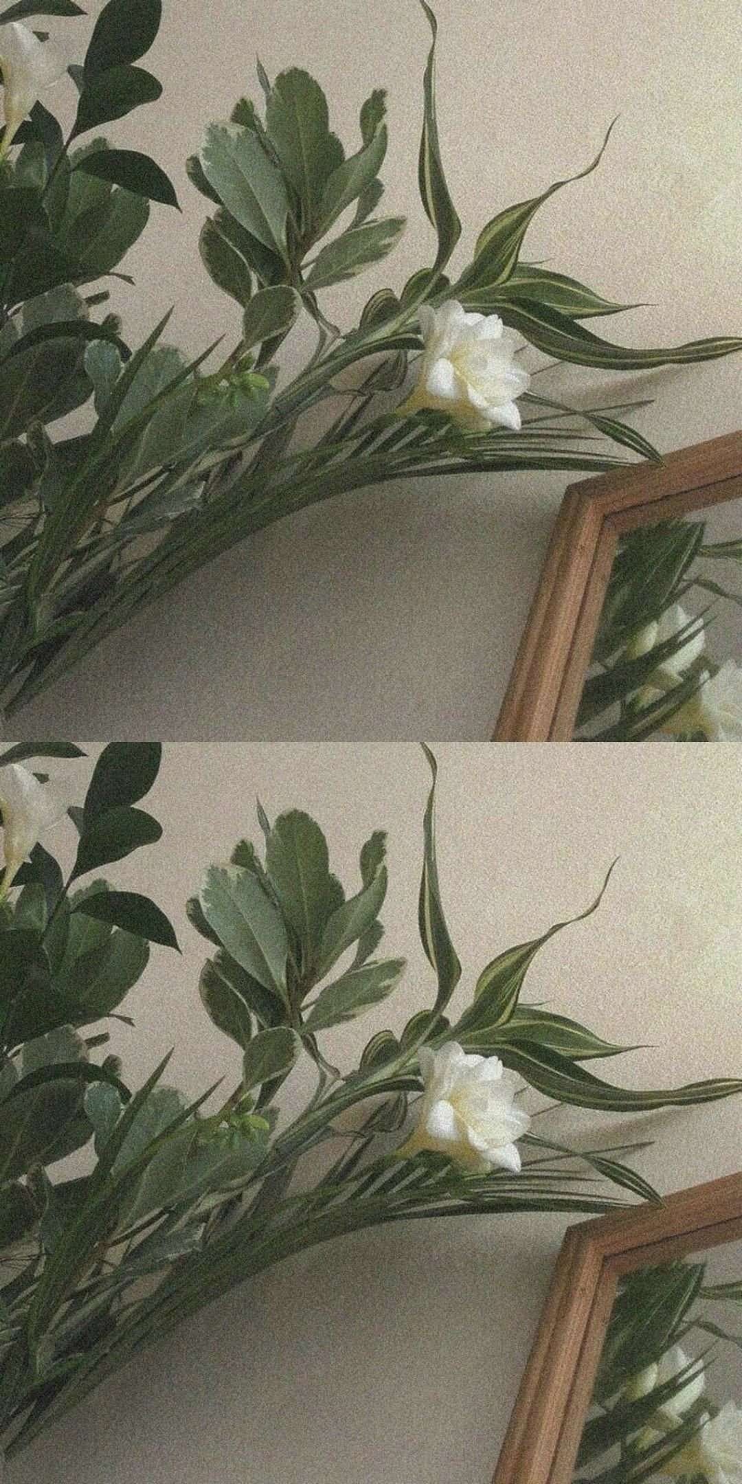 不要因为这个世界的复杂,就放弃了自己的单纯。 