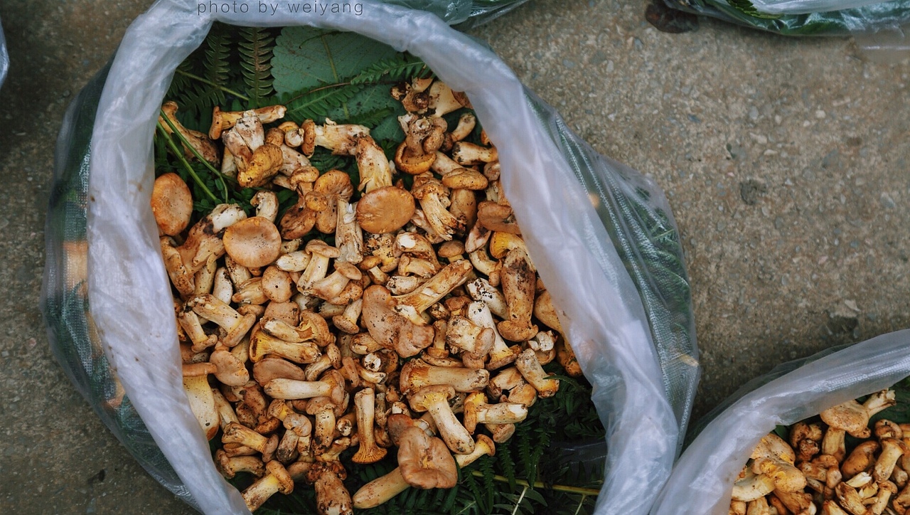 街子（图ZNTQ4NTUwNzI=） - 人文/纪实摄影 - 站酷设计师未央weiwei原创素材 - 站酷ZCOOL