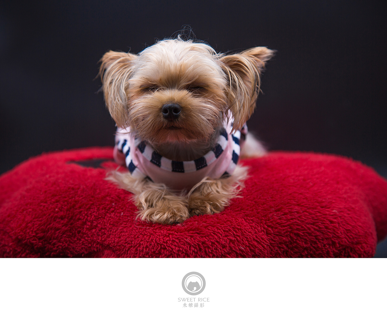 【吐舌菌小momo】呆萌小可爱