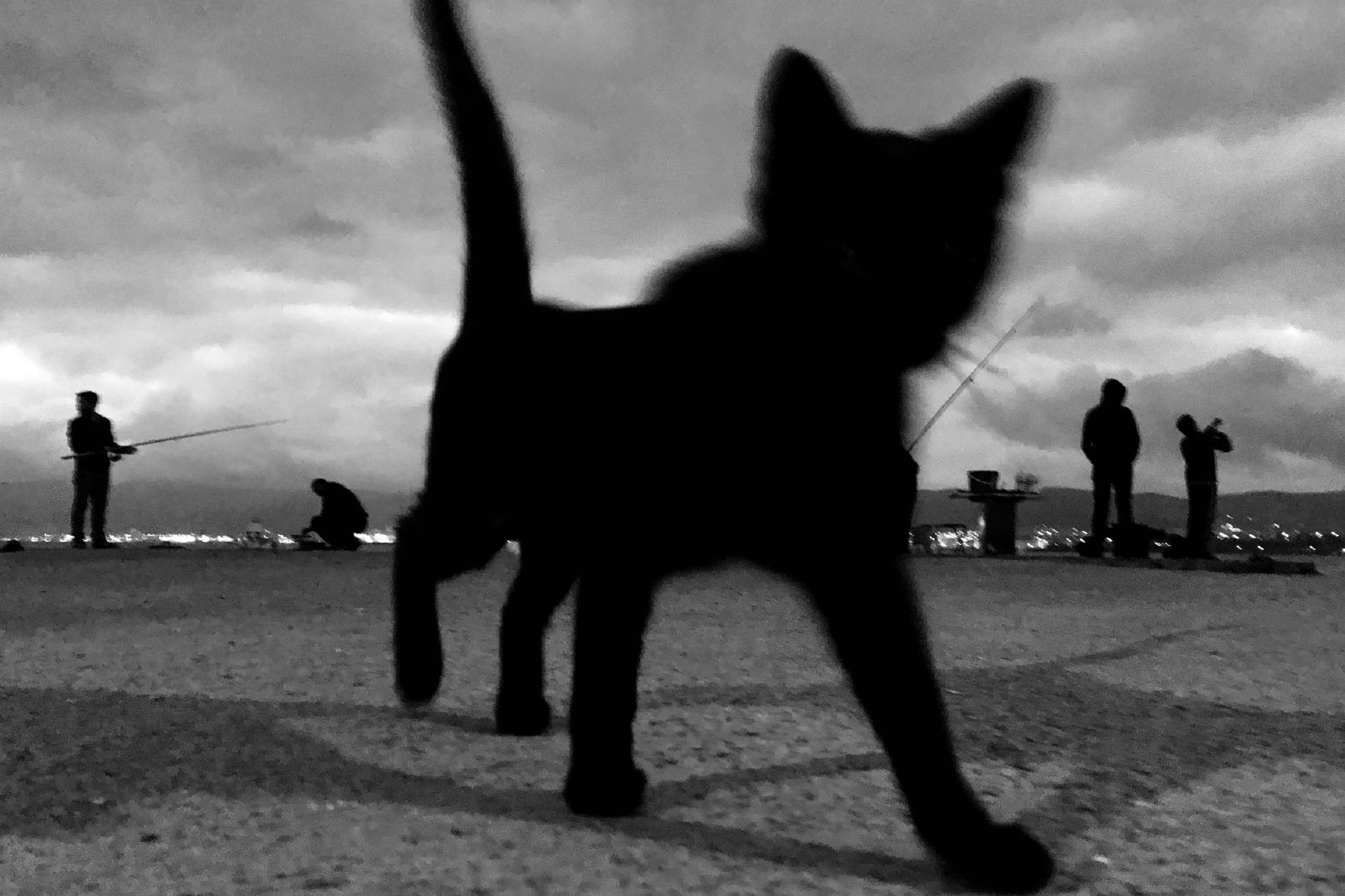 GX_xxx的個(gè)人主頁(yè)（背景預(yù)覽） - 主頁(yè)背景設(shè)置 - 站酷設(shè)計(jì)師GX_xxx原創(chuàng)素材 - 站酷ZCOOL