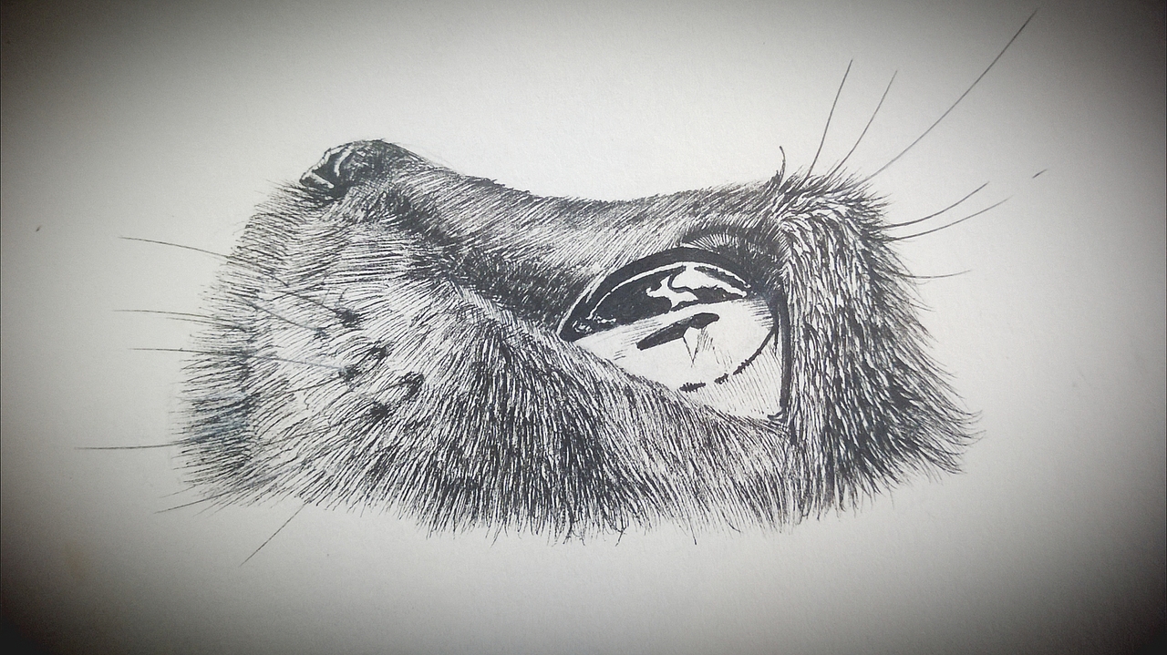 一些手绘插画练习作品（图ZMjkzOTA5NTI=） - 创作习作 - 站酷设计师北水十四原创素材 - 站酷ZCOOL