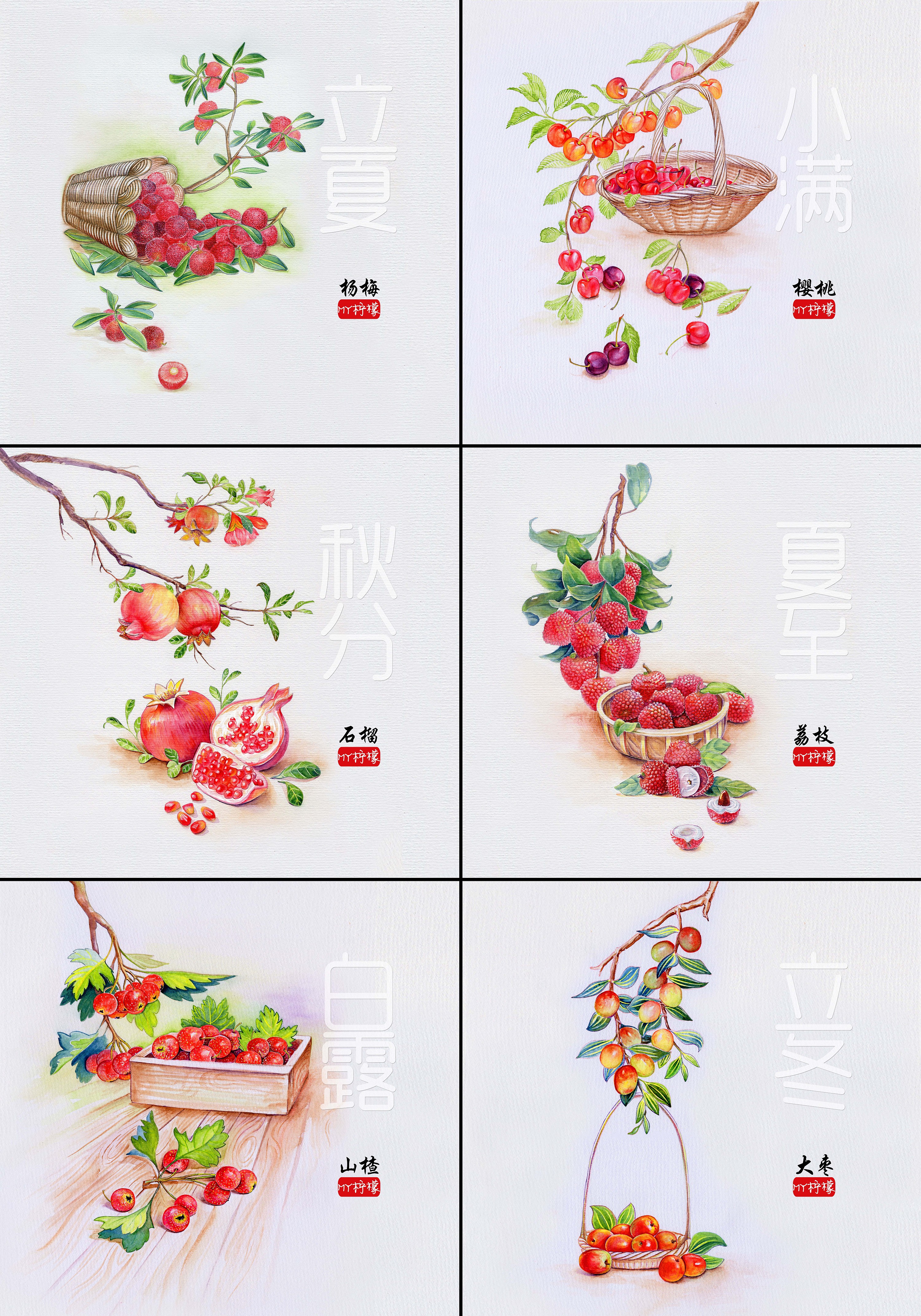 二十四节气水果手绘