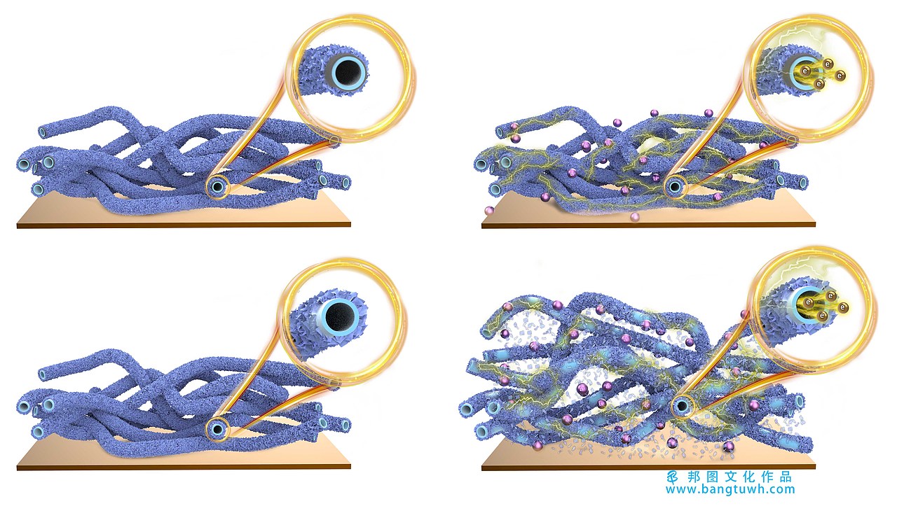 科研绘图作品 邦图文化
