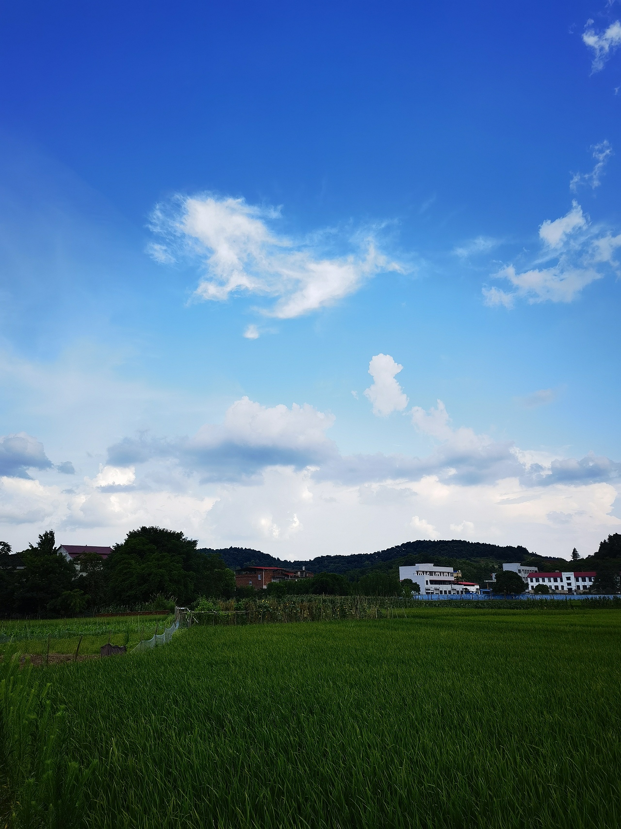 《向往的生活》