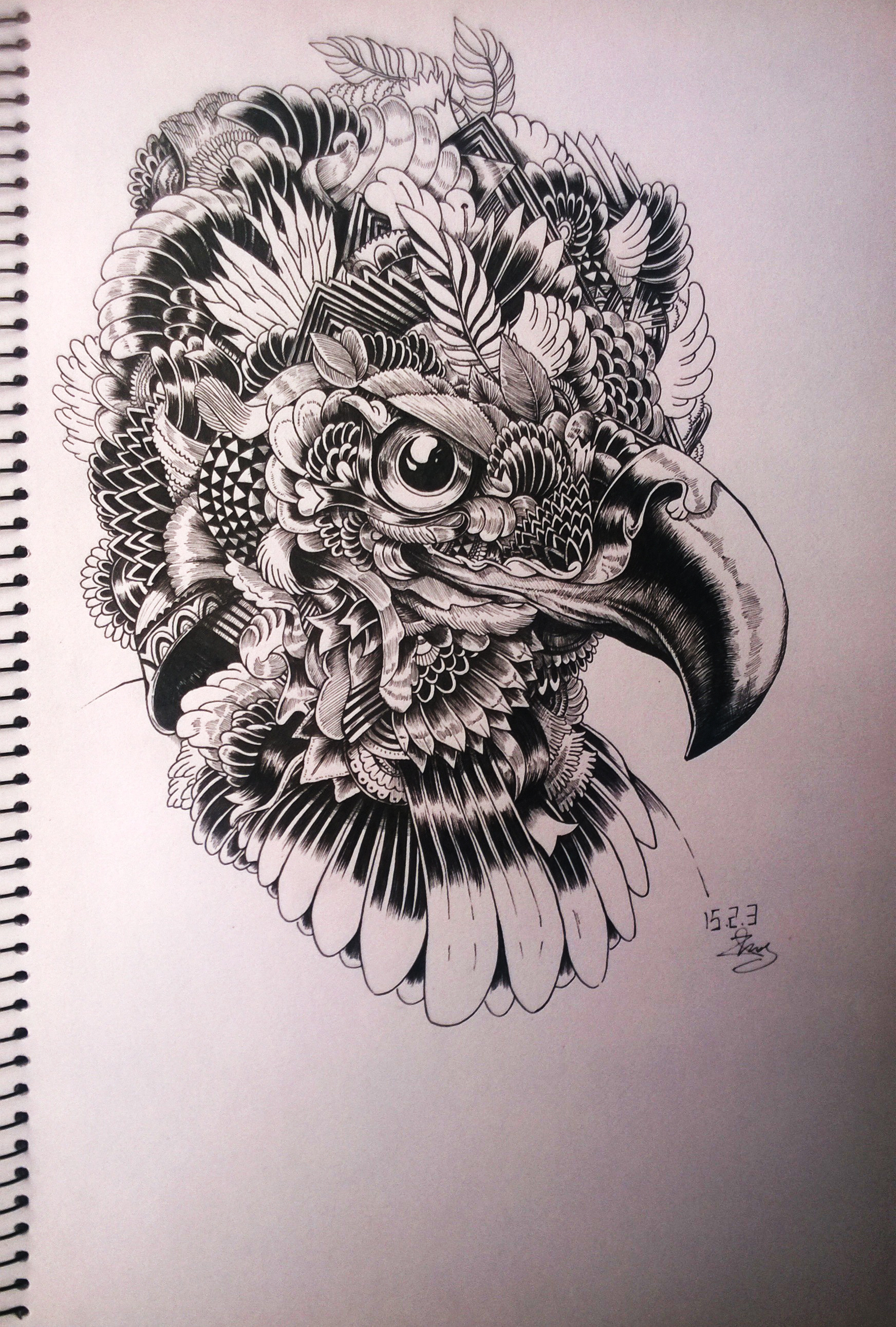 鹰(临摹)|插画|插画习作|凸猫 - 原创作品 - 站酷 (zcool)