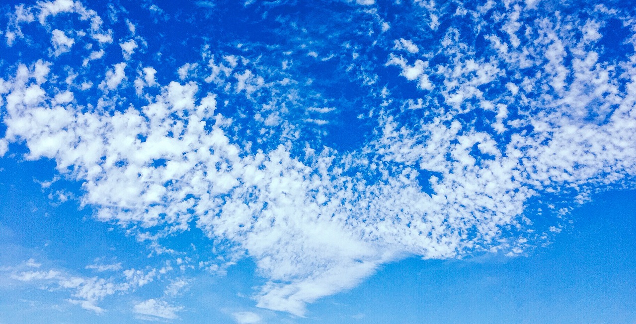 Photography by Iphone