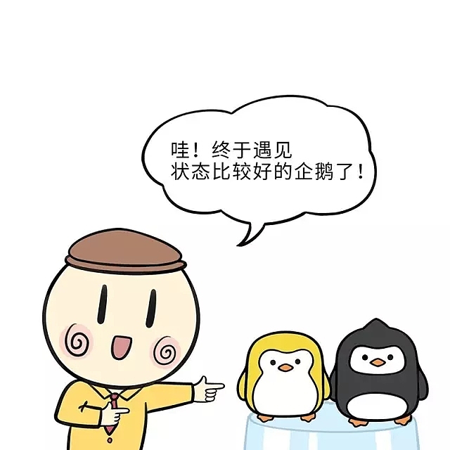 视频︱超萌企鹅动起来了！（图ZODIzMjk4OTY=） - 动画片 - 站酷设计师喃东尼原创素材 - 站酷ZCOOL