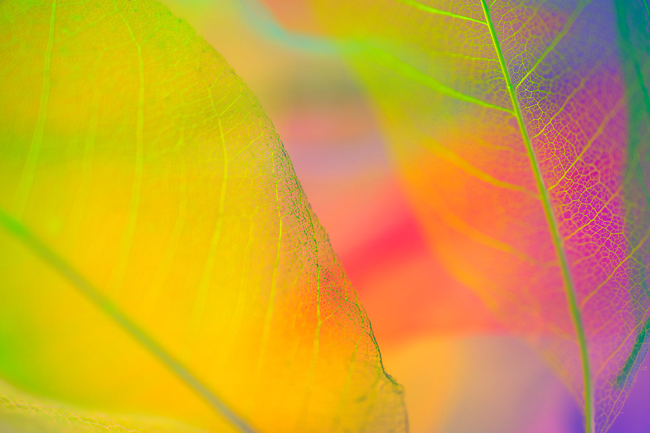 绽影像之《撕雾》（图ZMjU1MjEzNzE2） - 时尚/艺术摄影 - 站酷设计师陈绽原创素材 - 站酷ZCOOL