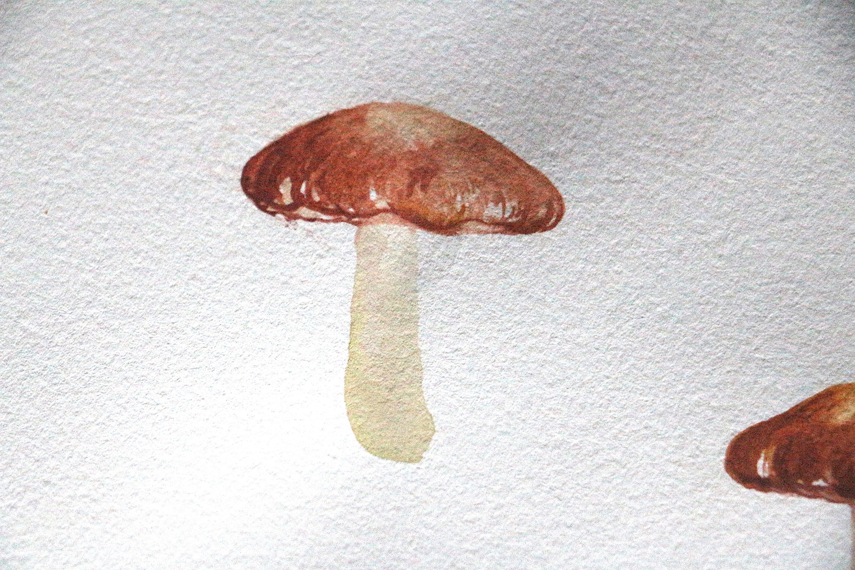 香菇|插画|创作习作|第二人格 - 原创作品 - 站酷 (zcool)