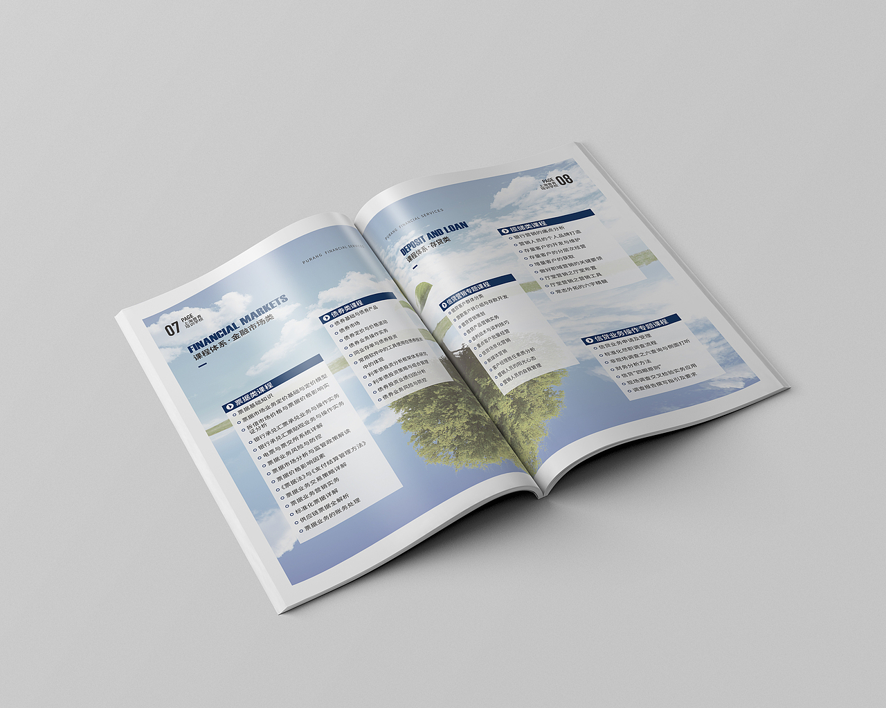 培训画册 金融画册 产品手册