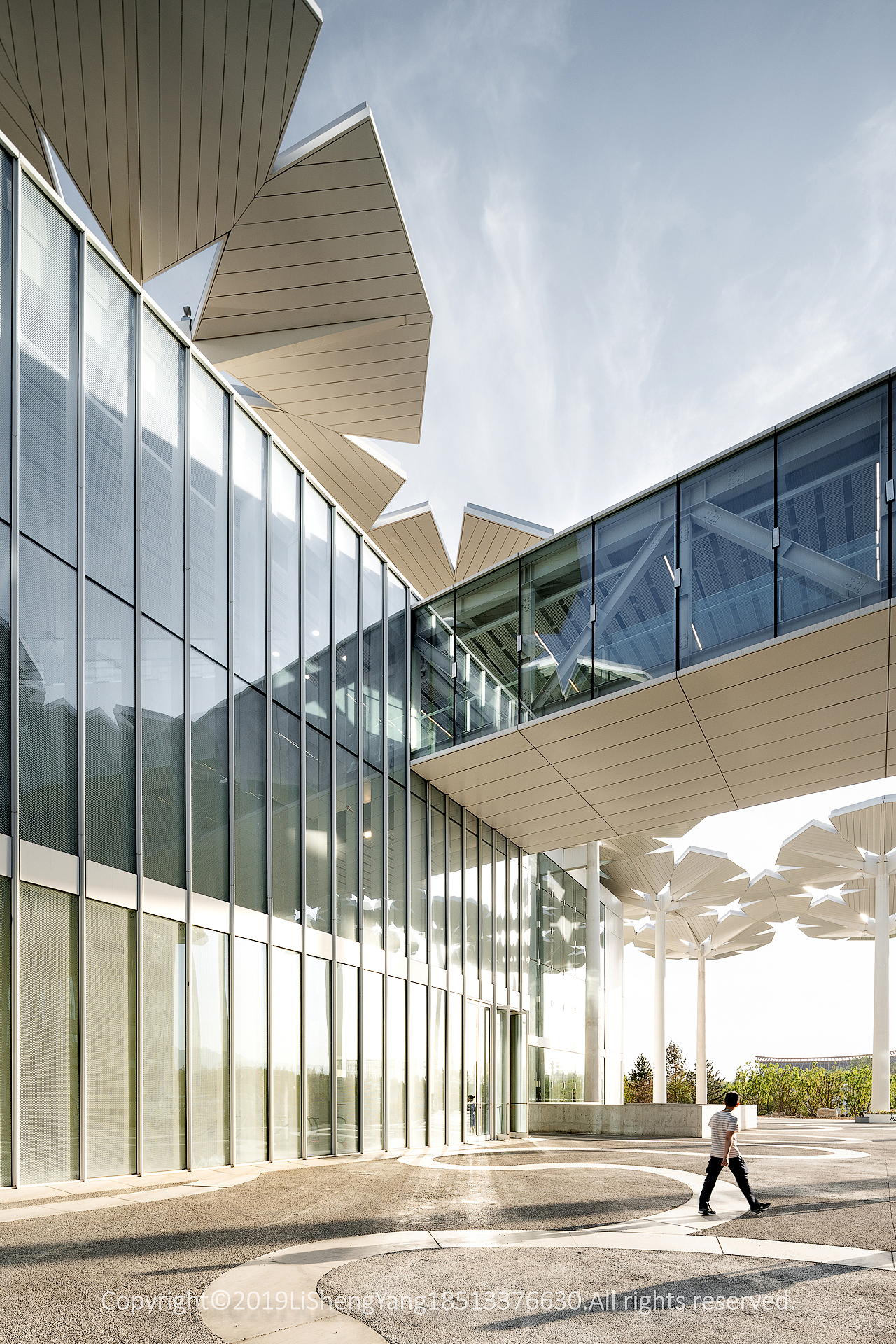 2019北京世园会国际馆「建筑空间摄影」 摄影:李胜阳