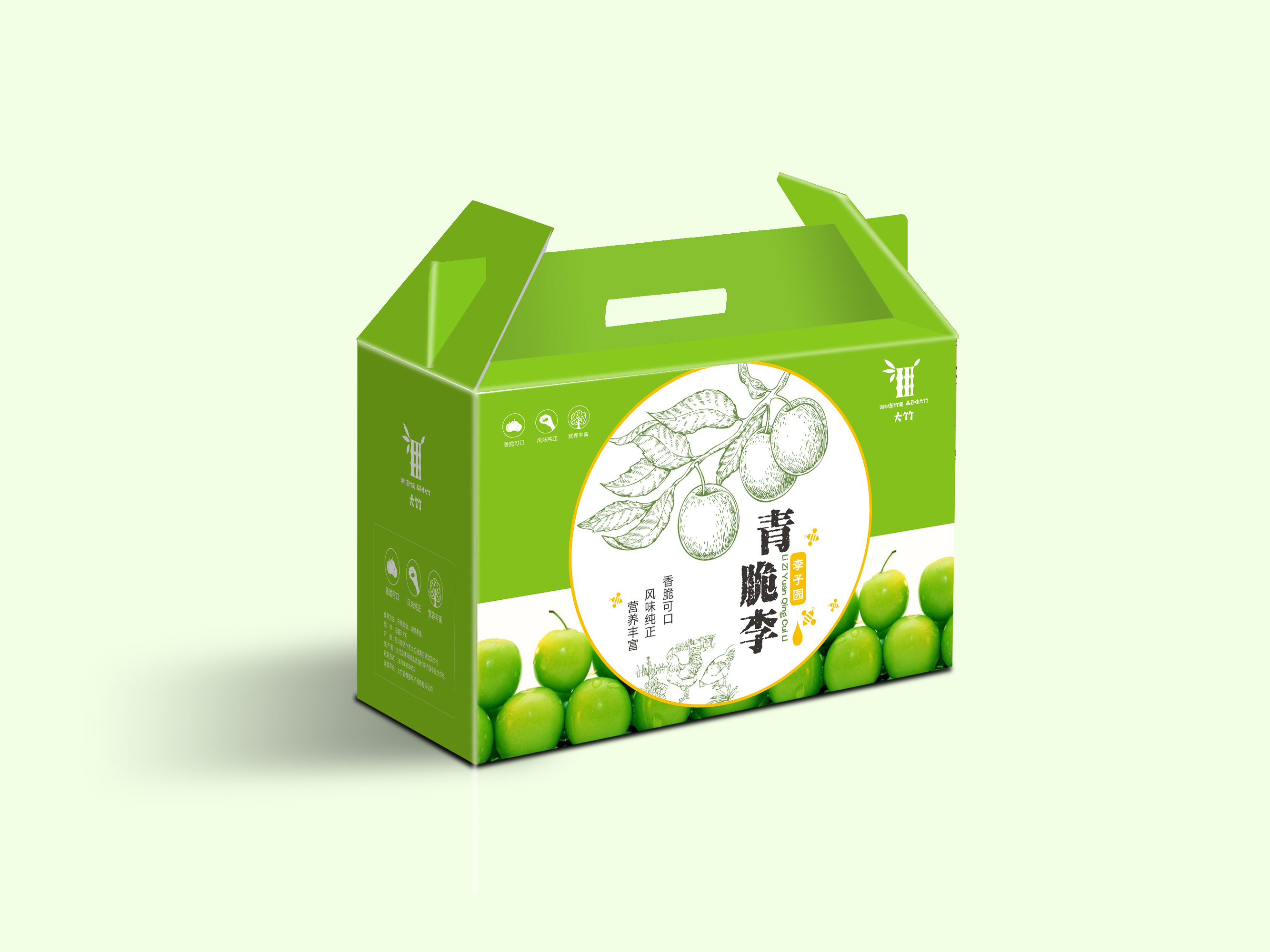 李子包装设计