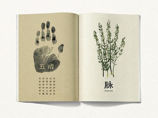 正和岛年刊概念设计