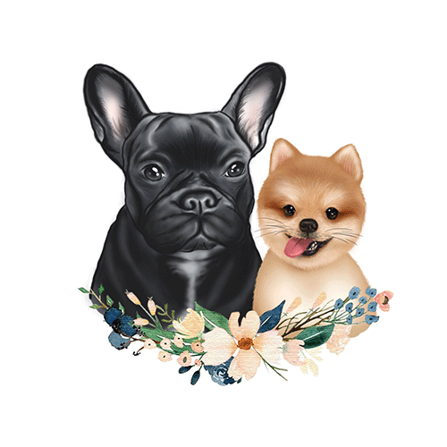 最终效果之gif图