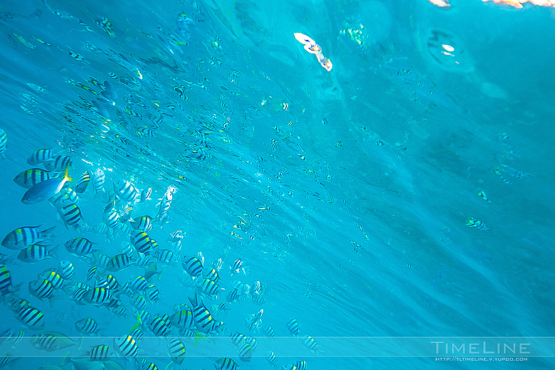 在上帝的水族箱飞翔 [Part1]（图ZMTIzMzg1NTY=） - 人像摄影 - 站酷设计师TimeLine_季冠廷原创素材 - 站酷ZCOOL