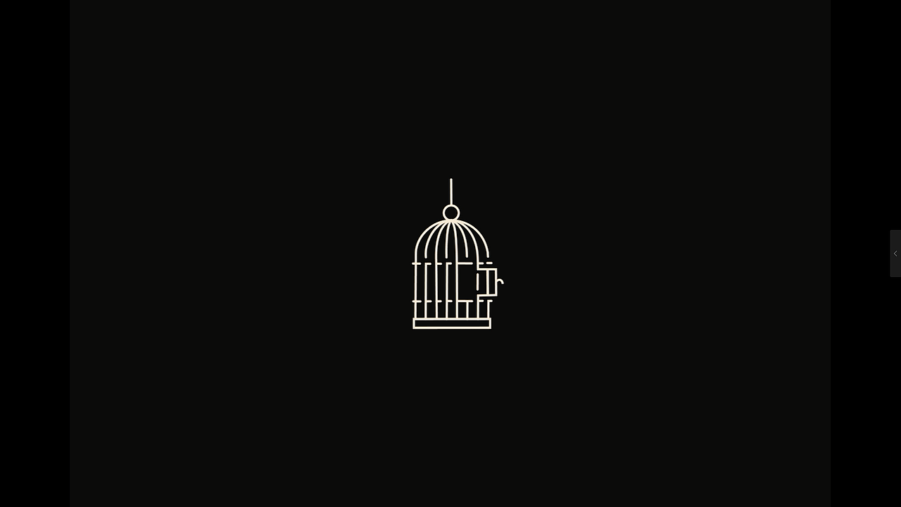 MG-简单线条动画