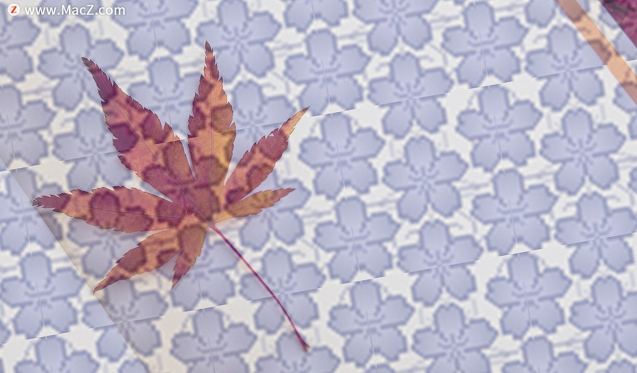 精美的20款樱花PS填充图案