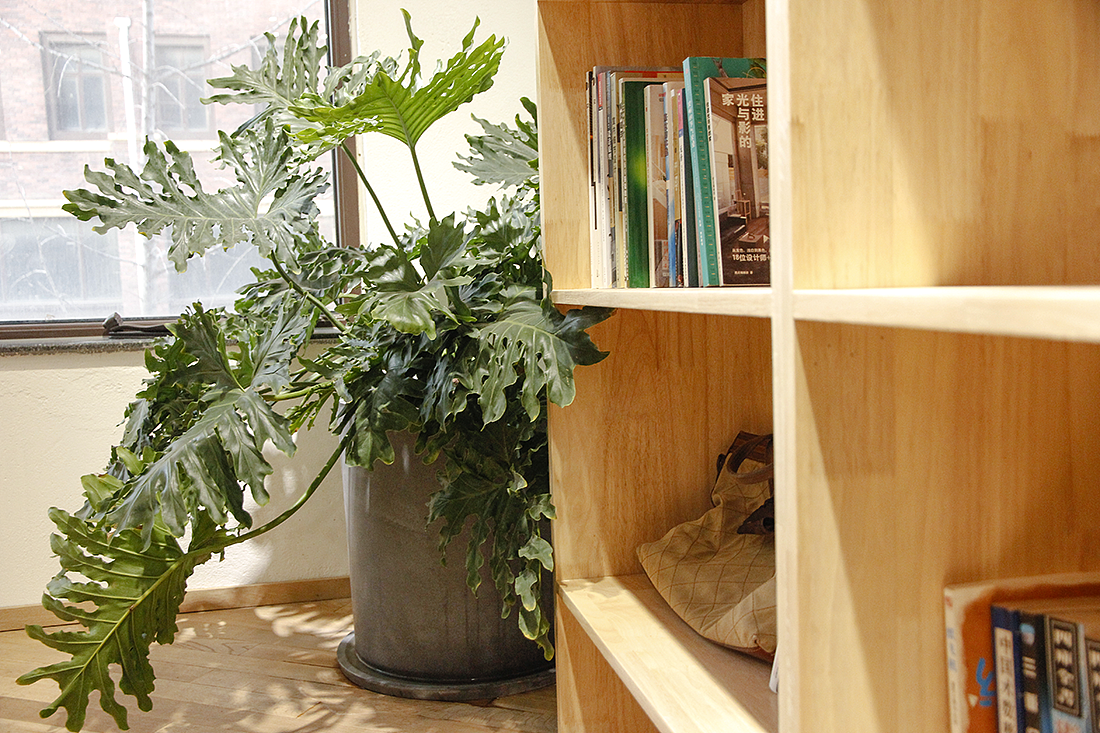 如同“山谷”的一般植物书店