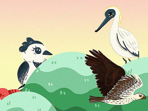 深圳鸟类生态手绘插画地图