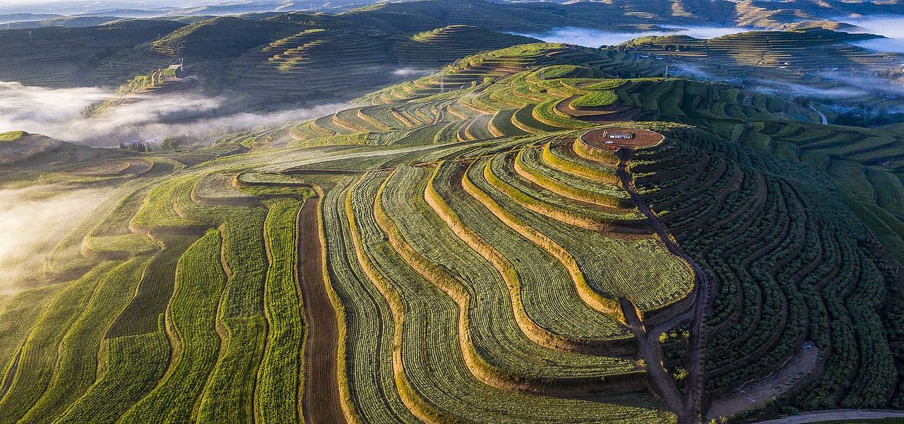 醉美旱塬梯田
