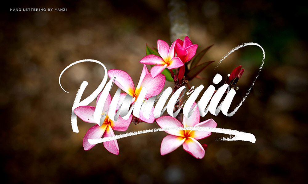 手写英文3月合集