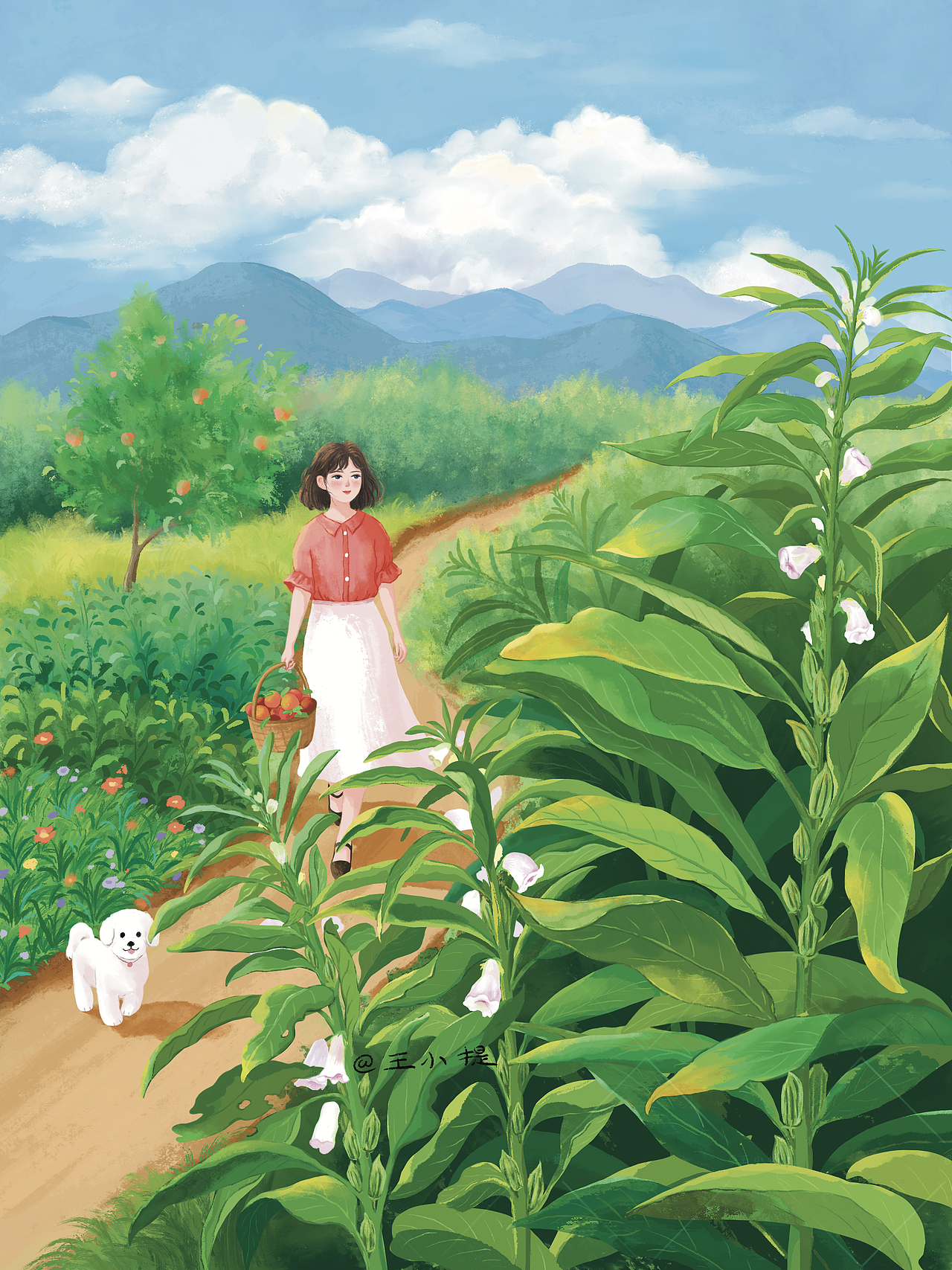 插画/不经意间的美好