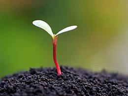 感覺人的一生好渺小，我想留點不商業(yè)有態(tài)度的視頻作品