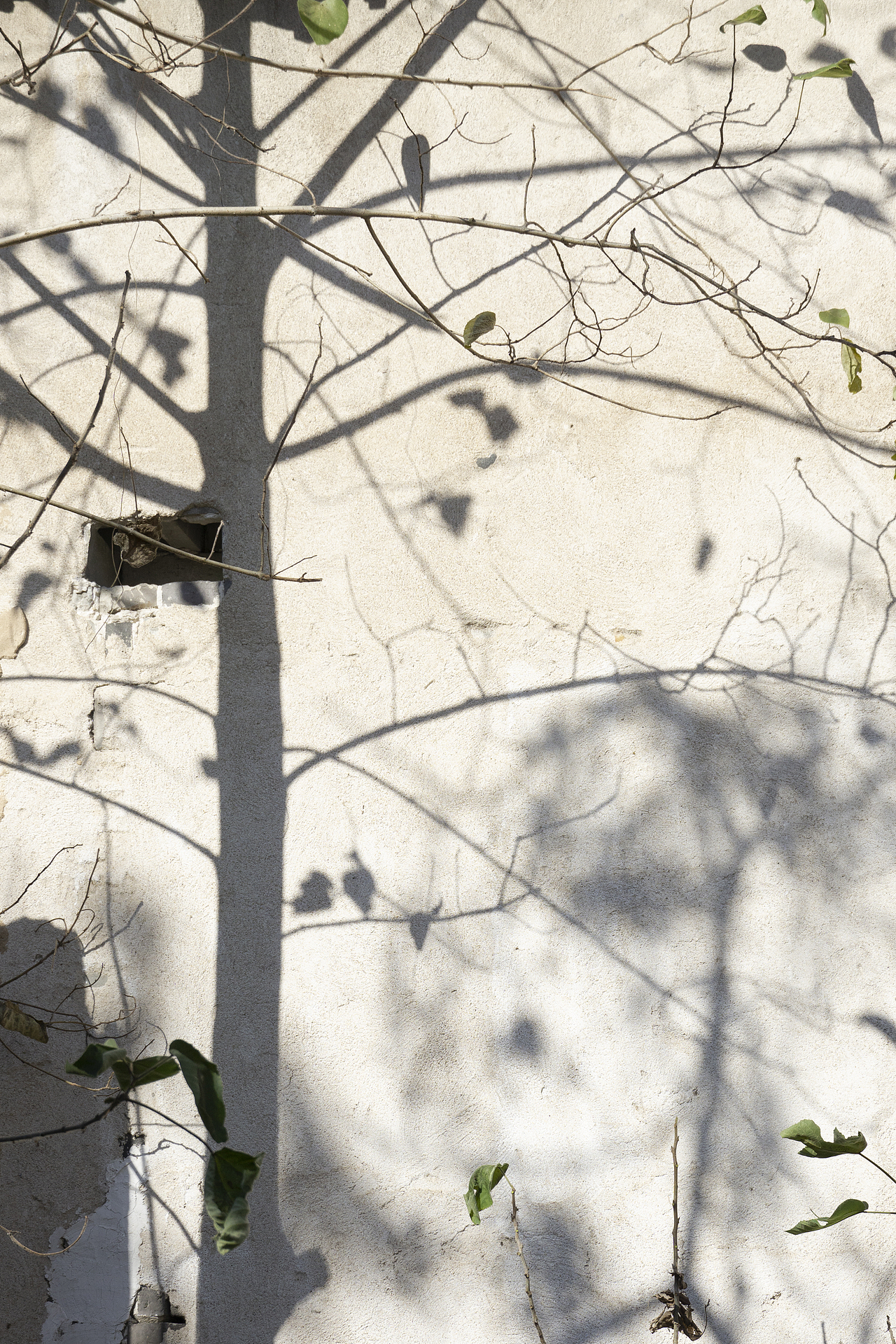 2022-2023年度照片📷（图ZMzU4NTA4OTQw） - 风光摄影 - 站酷设计师程小灰啊原创素材 - 站酷ZCOOL