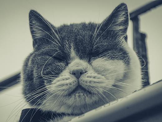 自己拍壁纸系列02