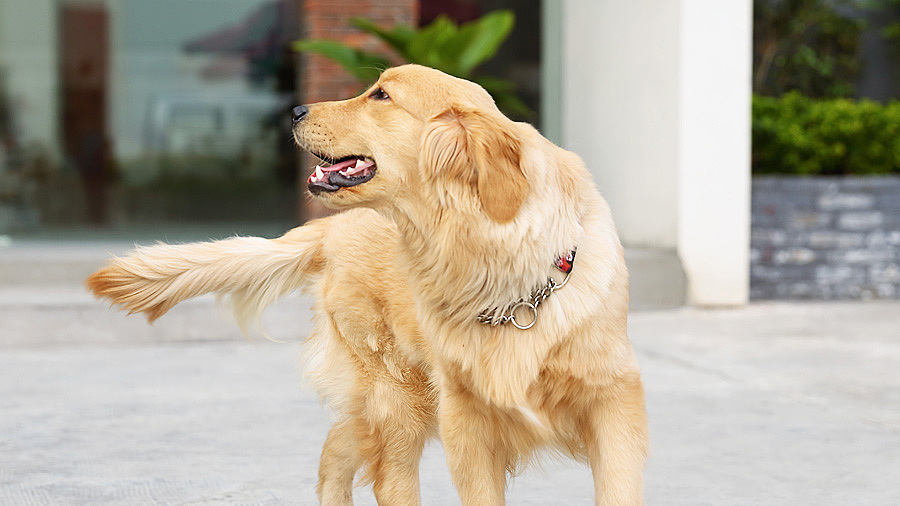 不会拍照的设计师不是好文案