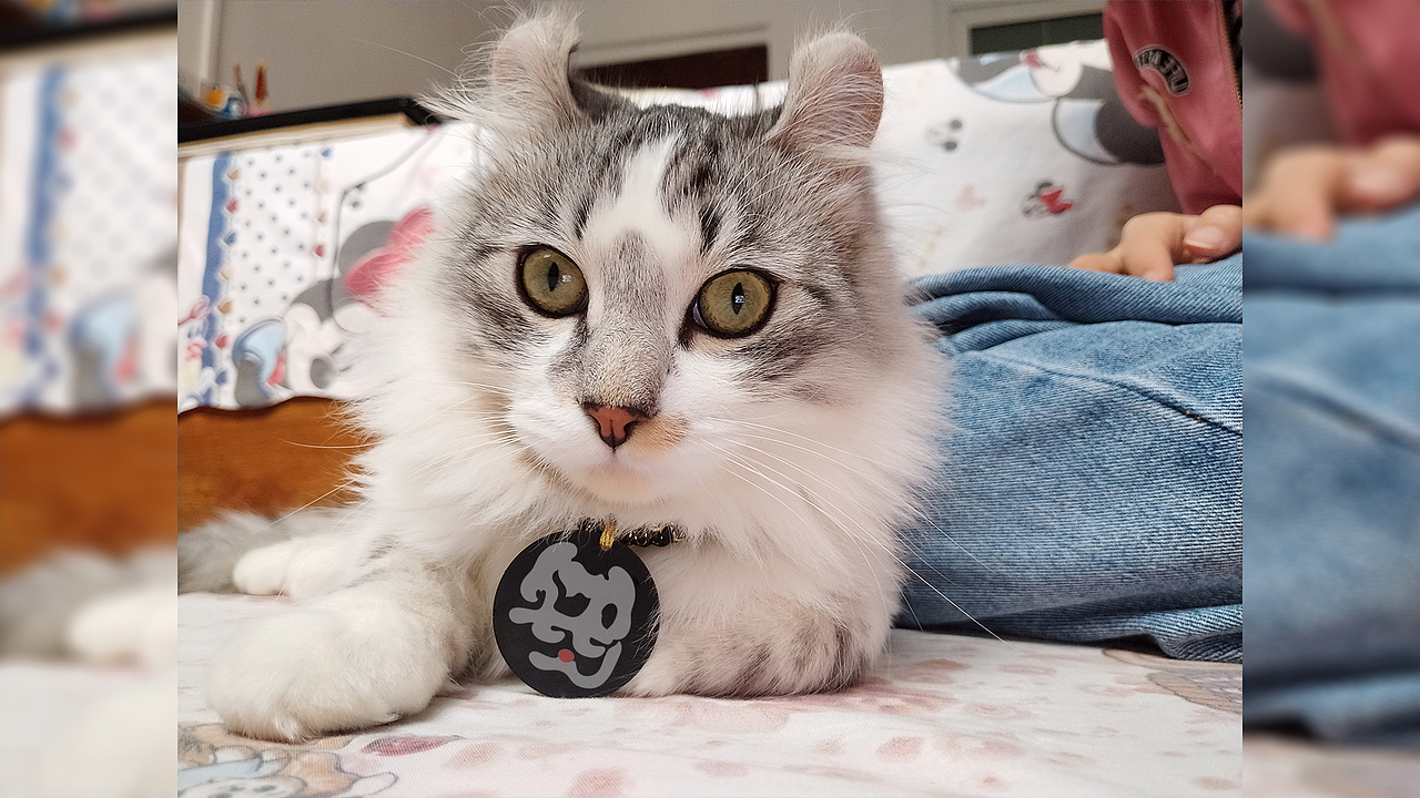 给我几天时间就完成了已参与 :「illustration awards 2020」乐划锁屏