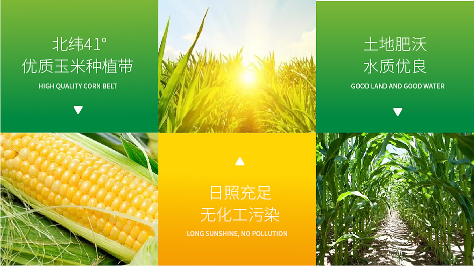 农业品牌vi（图ZMjM4Mzc1OTA0） - 品牌 - 站酷设计师乱七八糟插画原创素材 - 站酷ZCOOL