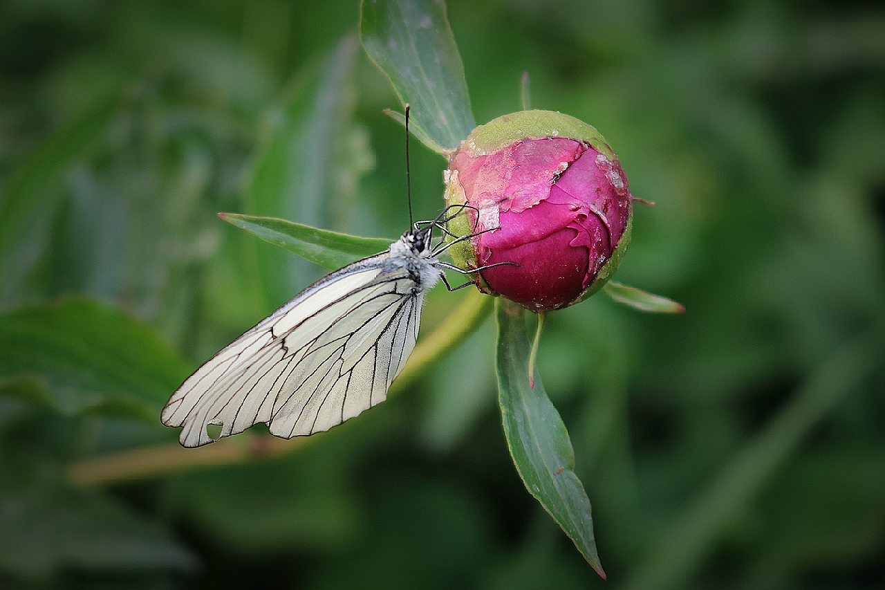 摄影（图ZMTU1NDc5NDYw） - 风光摄影 - 站酷设计师JUNE的七七原创素材 - 站酷ZCOOL