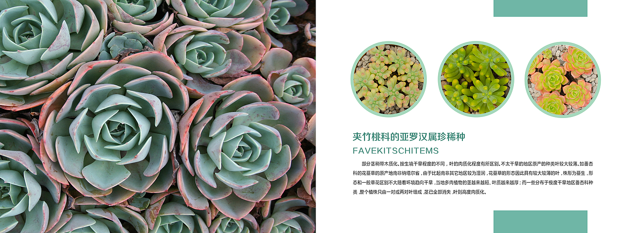 画册（图ZMTQ0ODk5Njg0） - 书籍/画册 - 站酷设计师温得和克萝卜原创素材 - 站酷ZCOOL