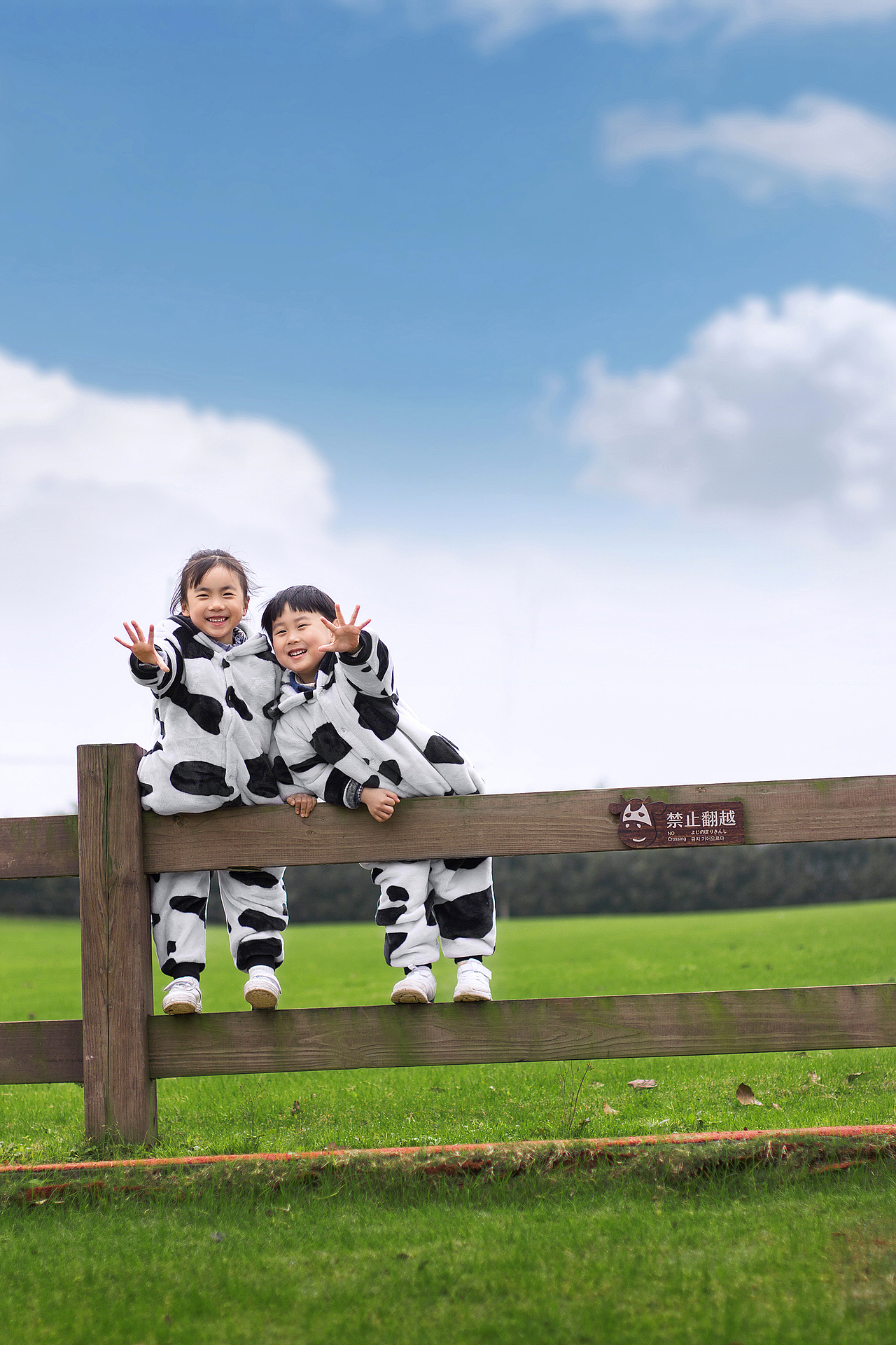 我家奶牛姑娘和他的奶牛小伙伴（圖ZMjU3OTMxMTEy） - 人像攝影 - 站酷設計師潮哥CHAOGE原創(chuàng)素材 - 站酷ZCOOL