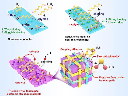 科研绘图——拓扑表面态对多硫化物的作用
