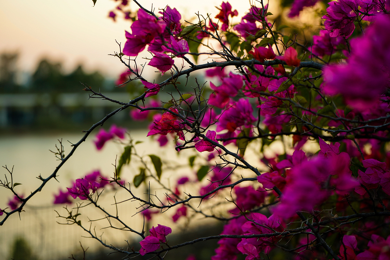 户外风光摄影-生活中处处是美景