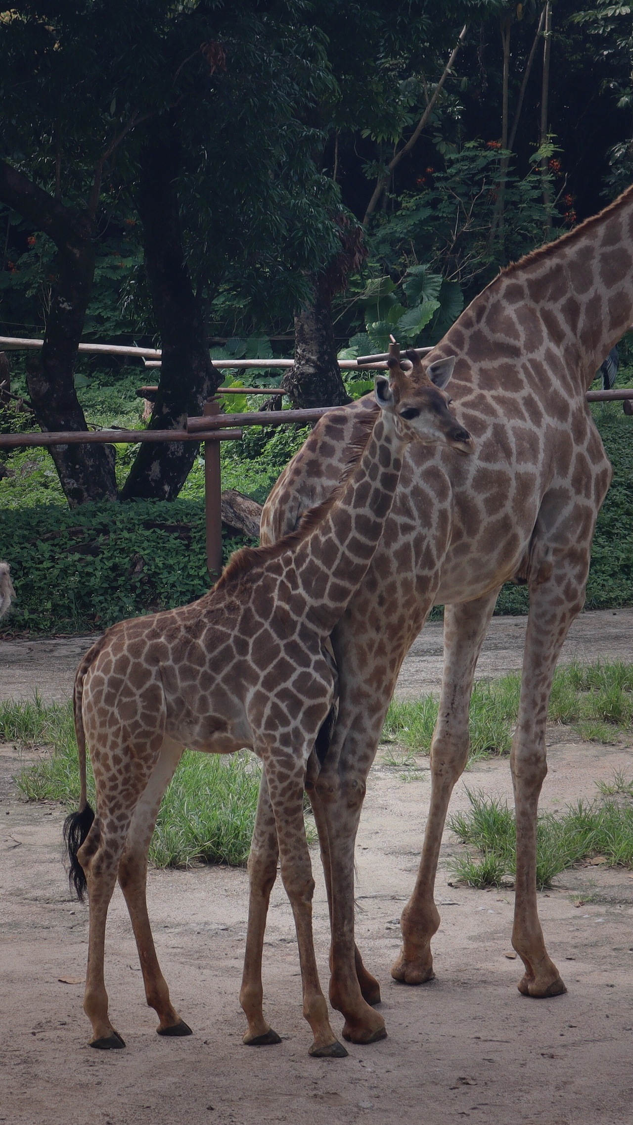 动物园里的他们