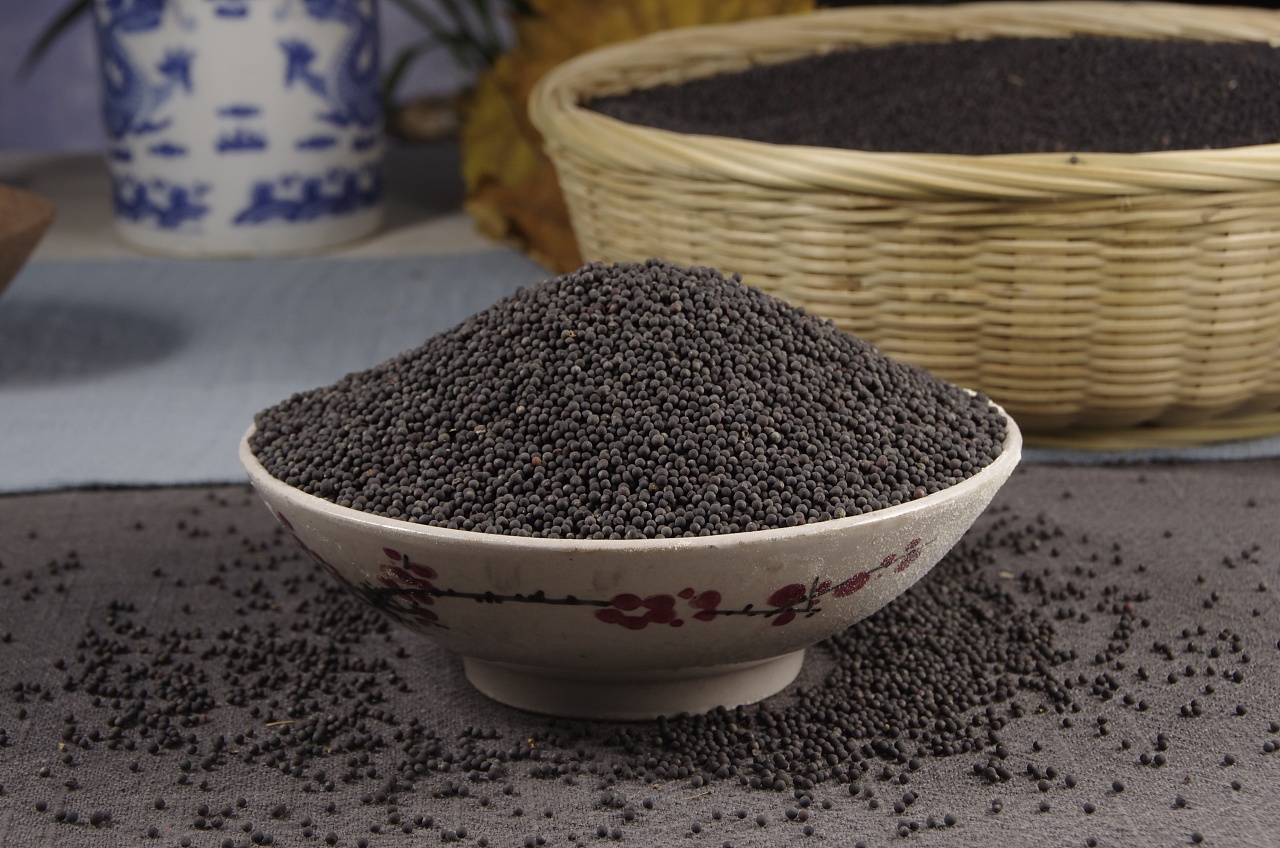 黑油菜籽