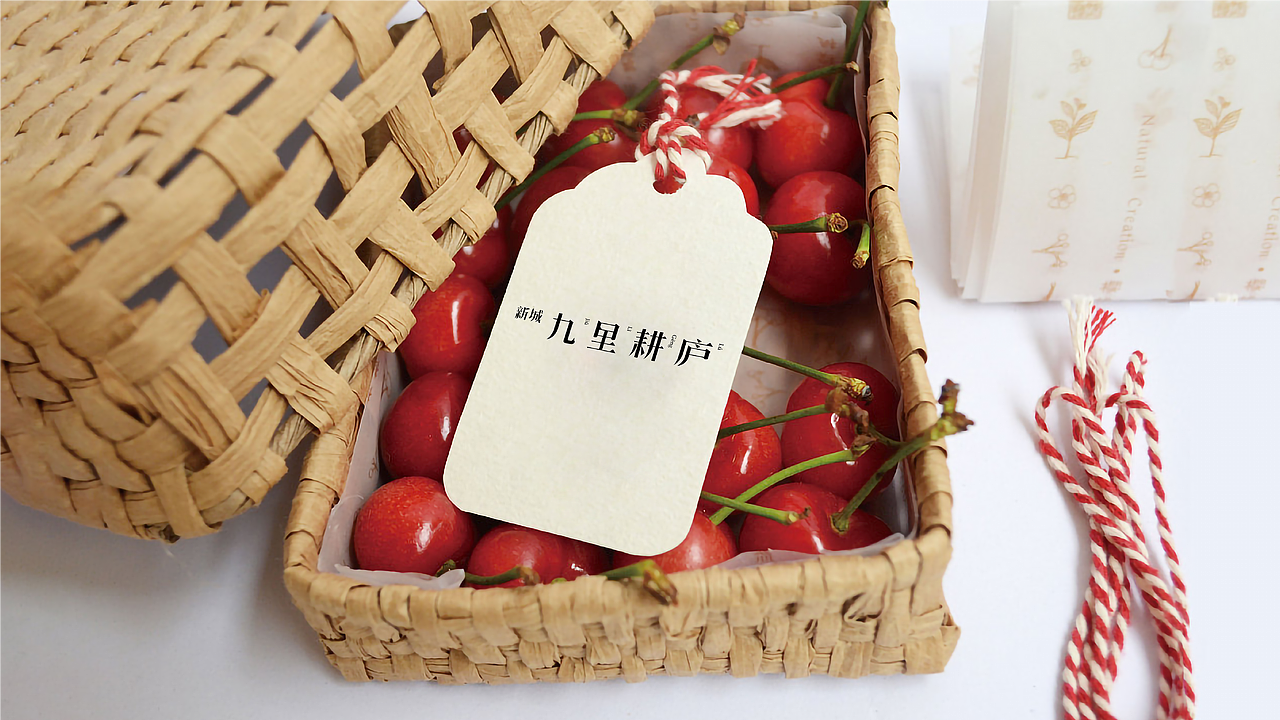 新城·九里耕庐