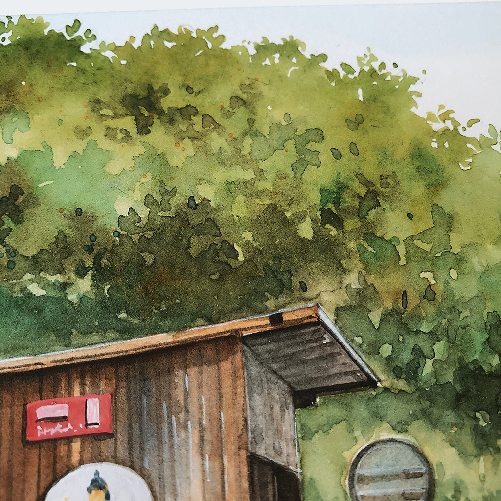 【米蒂风景水彩】菊次朗的夏天