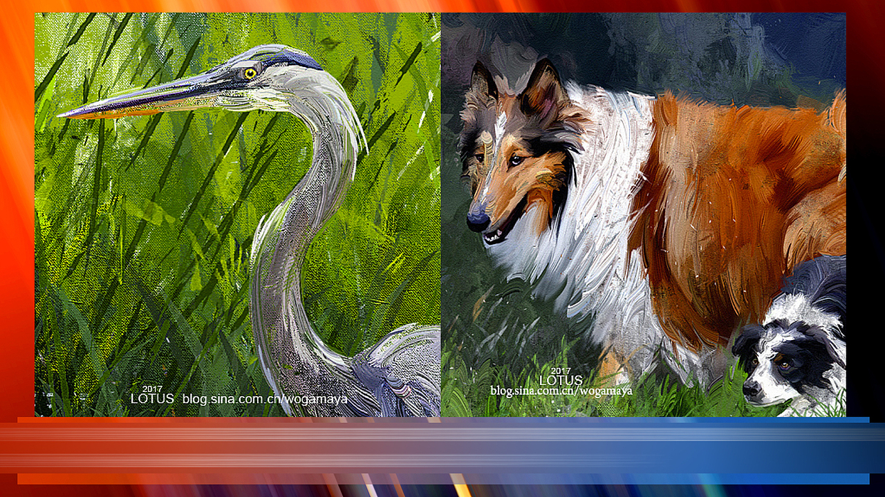 赵鑫 莲花帝国 画画 2018