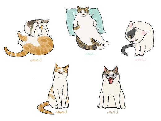 画猫咪喇~~~