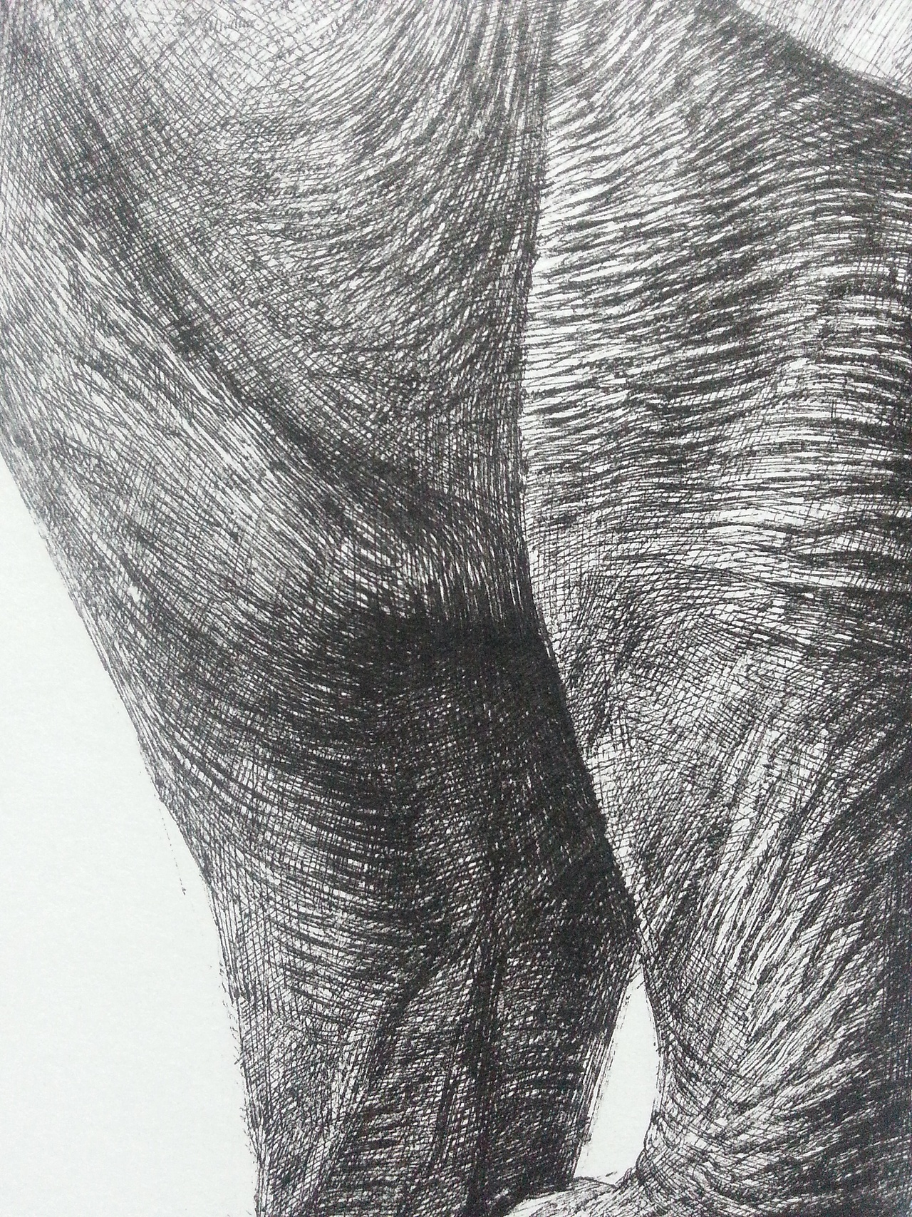 缺角的象（鋼筆畫）（圖ZMTY0MzAxOTI=） - 繪畫 - 站酷設(shè)計(jì)師許歡原創(chuàng)素材 - 站酷ZCOOL