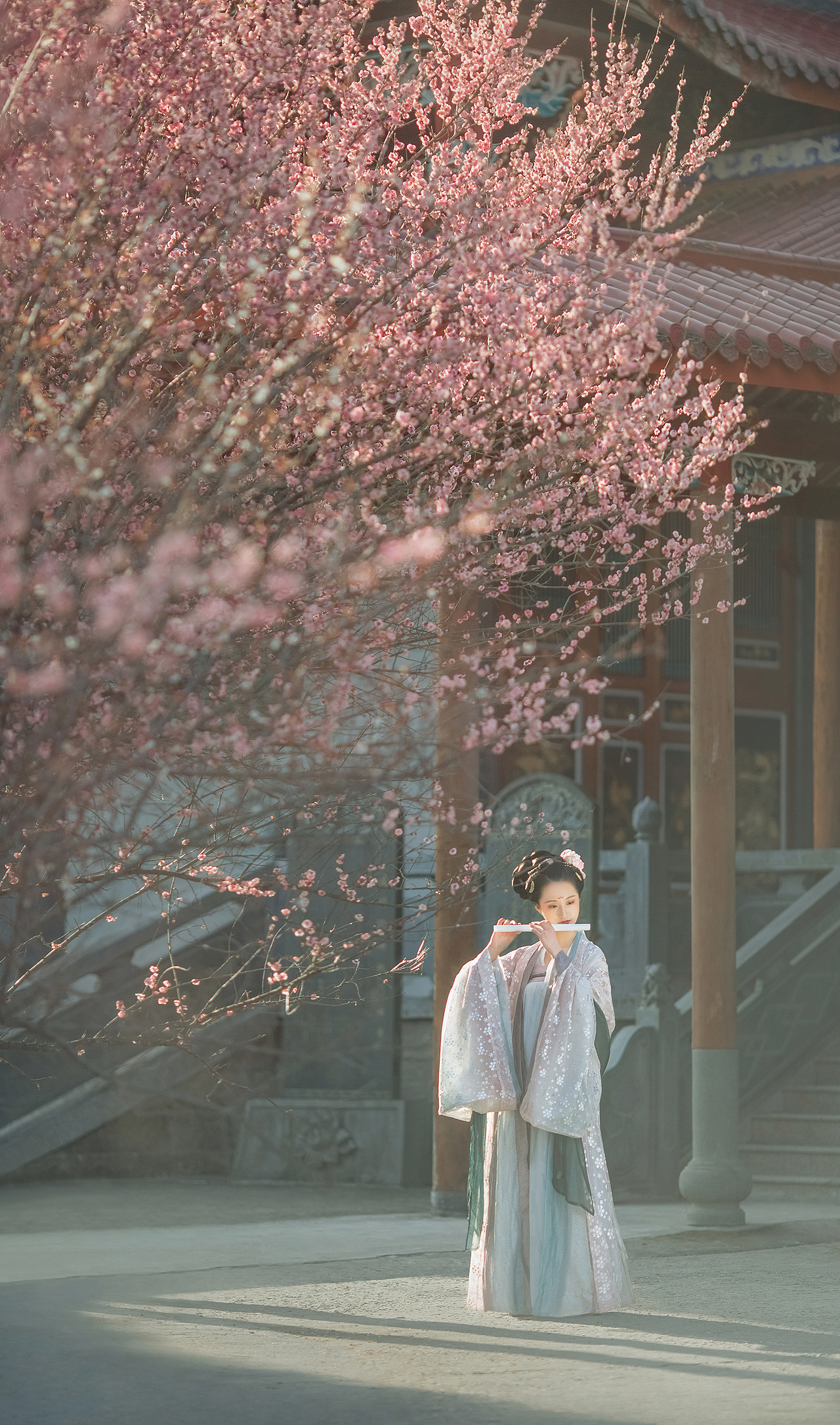 梅妃 · 一斛珠（图ZMTQxNTE2MzA4） - 人像摄影 - 站酷设计师藤末原创素材 - 站酷ZCOOL