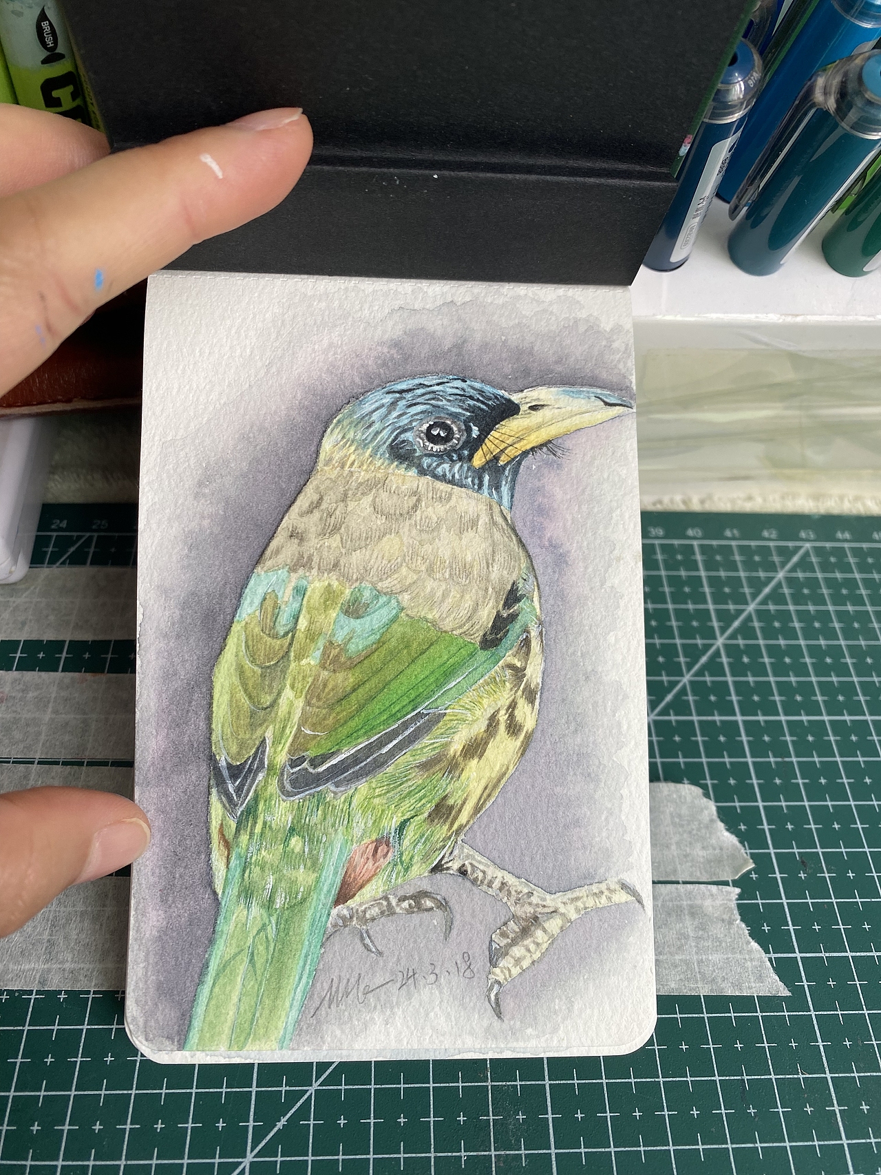 手绘|水彩*丙烯