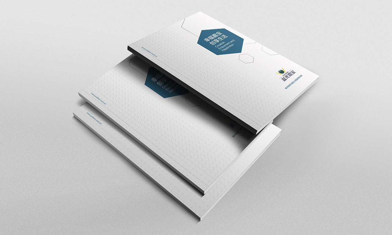 vi设计/画册设计/互联网形象设计及运营