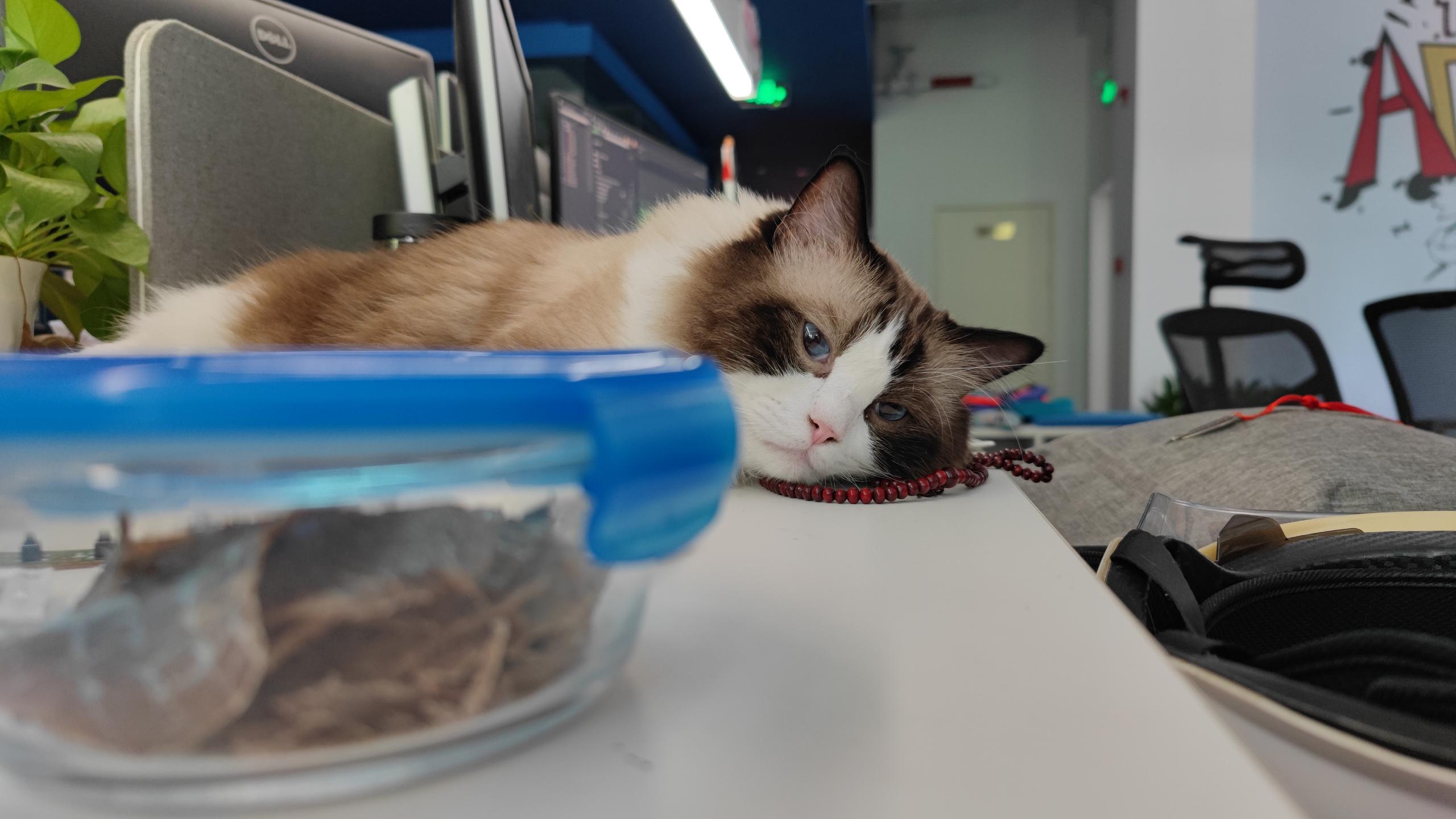 _米花花_zzz的個(gè)人主頁(yè)（封面預(yù)覽） - 主頁(yè)封面設(shè)置 - 站酷設(shè)計(jì)師_米花花_zzz原創(chuàng)素材 - 站酷ZCOOL