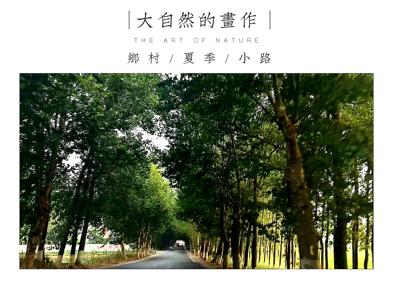 随拍（图ZOTUyMzMzODg=） - 人文/纪实摄影 - 站酷设计师玄宗ゼ快樂原创素材 - 站酷ZCOOL